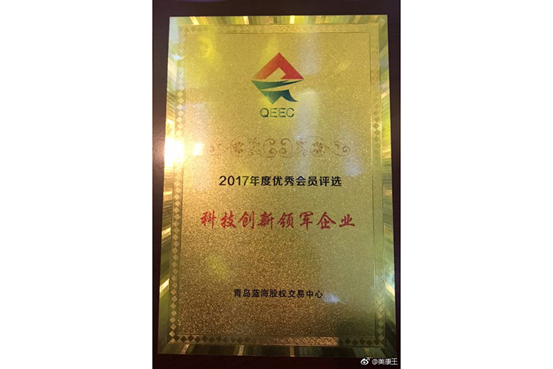 科技創新領軍企業